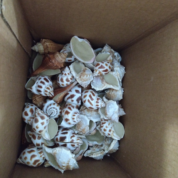 *Wedding/Party Decor* - Picture 4 of 4